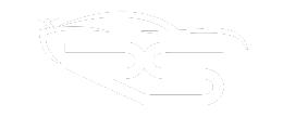 logo RS transparant